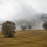 Príroda čaruje pod Jaseňovým vrchom (autor foto: PeterC)